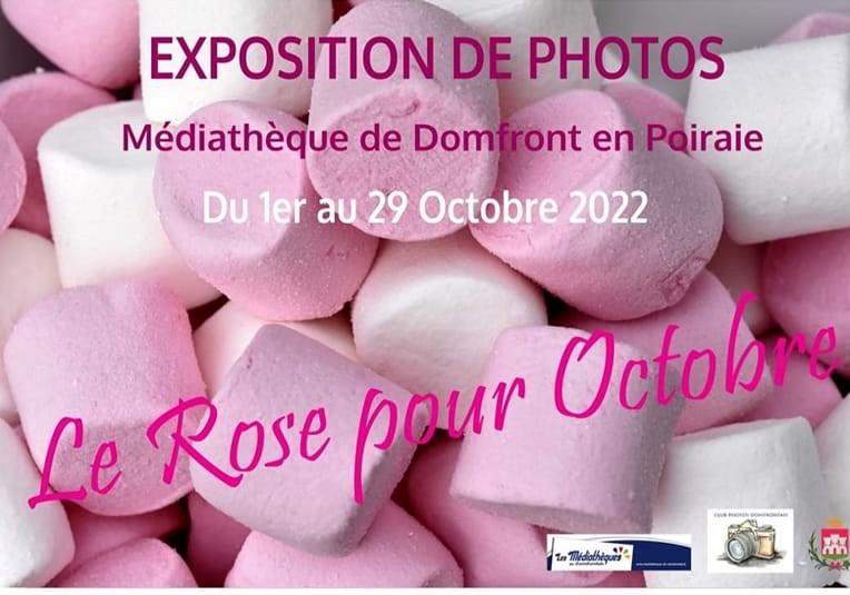 Expo photo « Le rose pour octobre »